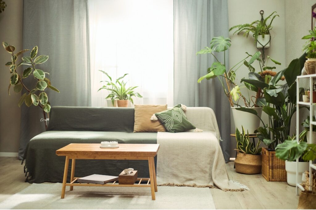 Natural wabi-sabi living room